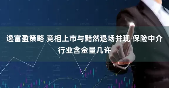 逸富盈策略 竞相上市与黯然退场并现 保险中介行业含金量几许
