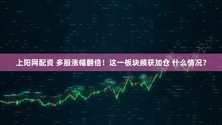 上阳网配资 多股涨幅翻倍！这一板块频获加仓 什么情况？
